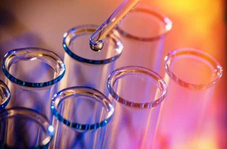 Top 5 Small-cap Biotech Stocks of 2025