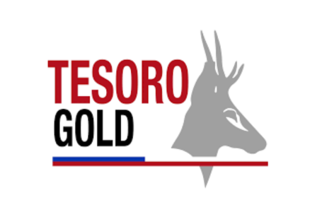 Wide High Grade Gold Intercepts at El Zorro