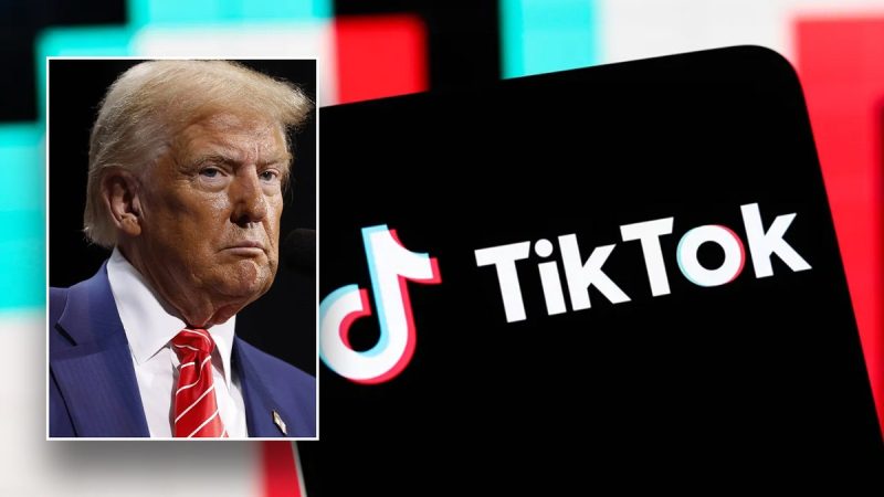  ‘No better dealmaker’: Trump reportedly considering executive order to ‘save’ TikTok