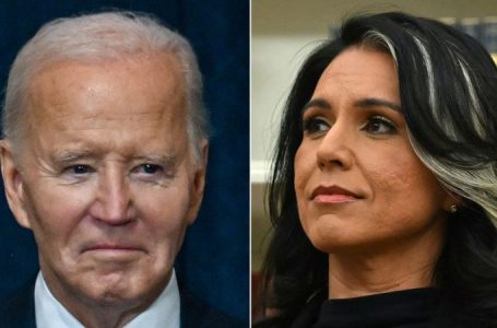 Gabbard says Biden admin ignored ‘highly inappropriate’ chats happening at national security agencies