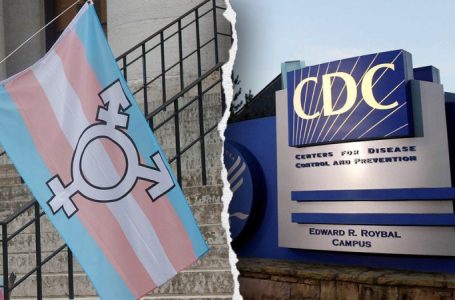 CDC staff told to remove terms like ‘non-binary,’ ‘they/them,’ ‘pregnant people’ from public health material