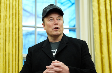 ‘Overwhelmingly popular’: Elon Musk touts Americans’ DOGE support