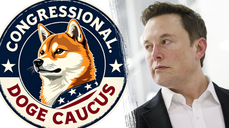  Scoop: More than 100 lawmakers join Congressional DOGE Caucus