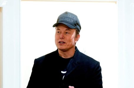 Musk tells Cabinet that DOGE email was ‘pulse check’ for workers, warns US will ‘go bankrupt’ without action