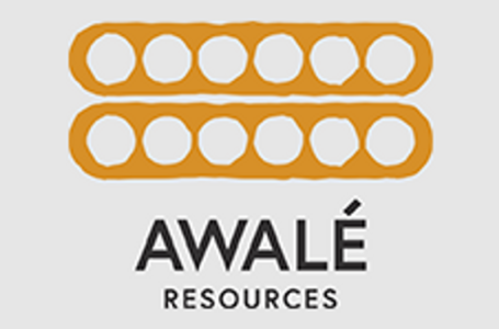 Awalé Provides Progress Update for Odienné Project