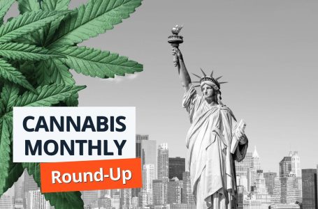 Cannabis Round-Up: Banking Reform and Rescheduling De-Prioritized as Trump Takes Office