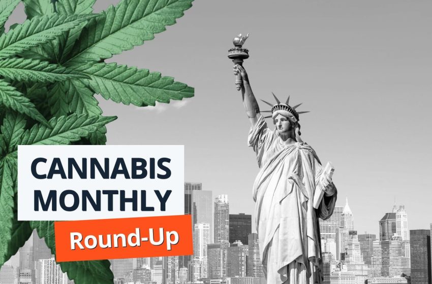  Cannabis Round-Up: Banking Reform and Rescheduling De-Prioritized as Trump Takes Office