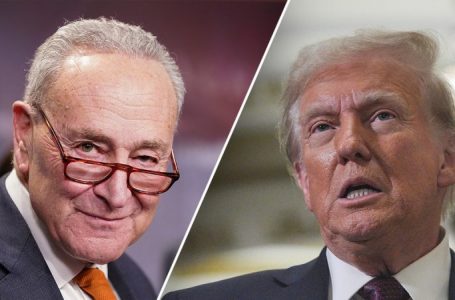 ‘Making America expensive again’: Democrats find a tax they don’t like in Trump tariffs