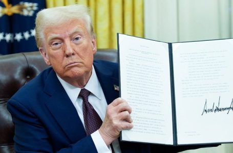 Trump to make English official language of US in new executive order