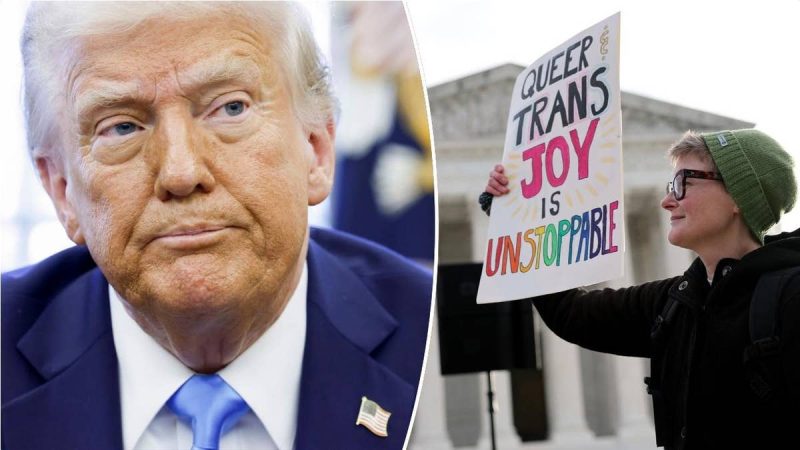  Trans lawsuit lobbed against Trump admin based on ‘faulty interpretations’: Legal expert