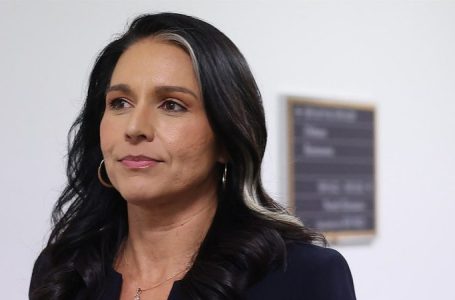 Tulsi Gabbard confirmation vote set for Wednesday after snowstorm thwarts midnight session