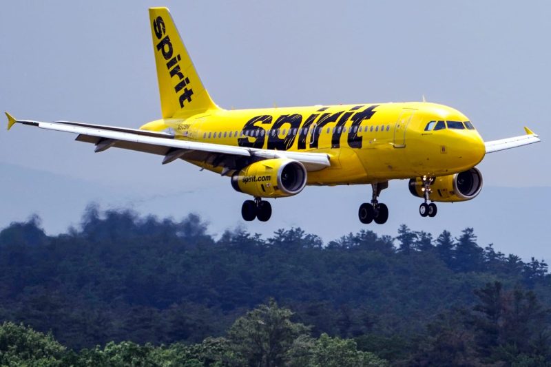  Spirit Airlines, fresh from bankruptcy, is ready to take on the new Southwest, CEO says