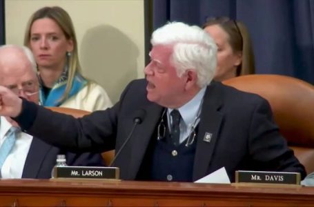 House Dem goes on screaming rant against Elon Musk, DOGE: ‘Shame!’