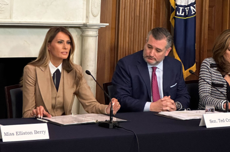 Melania Trump speaks on Capitol Hill for first time in roundtable focused on punishing revenge porn