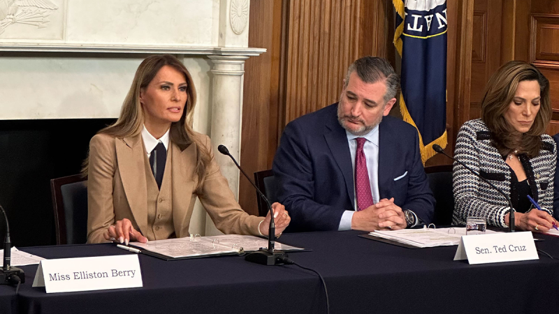  Melania Trump speaks on Capitol Hill for first time in roundtable focused on punishing revenge porn