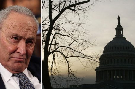 Senate Republicans coin ‘Schumer shutdown’ ahead of critical vote on Trump spending bill