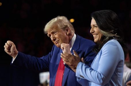 Tulsi Gabbard thanks Trump for ‘unwavering leadership’ in Oval Office clash with Zelenskyy