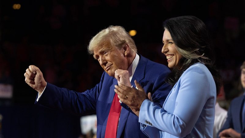  Tulsi Gabbard thanks Trump for ‘unwavering leadership’ in Oval Office clash with Zelenskyy