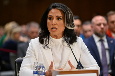 DNI Gabbard sounds off on Europe’s ‘divergence’ from U.S. values after tense Trump-Zelenskyy meeting