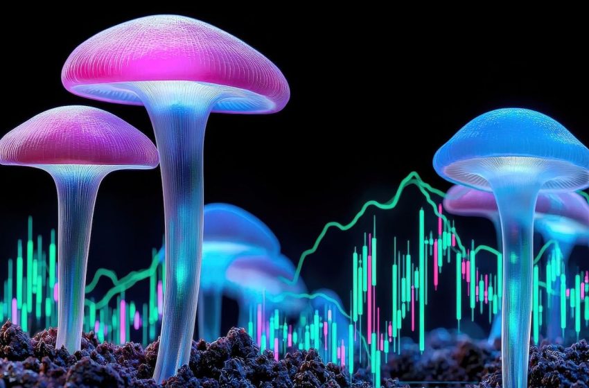 US Policy Momentum, Clinical Progress Fueling Psychedelics Market in 2025