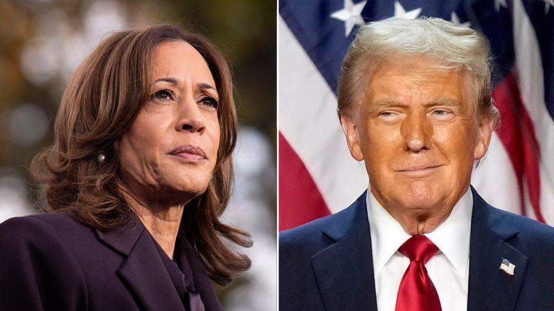 Dems drop $20M on bizarre ‘American men’ strategy plan study in effort to dig out of 2024 political hole