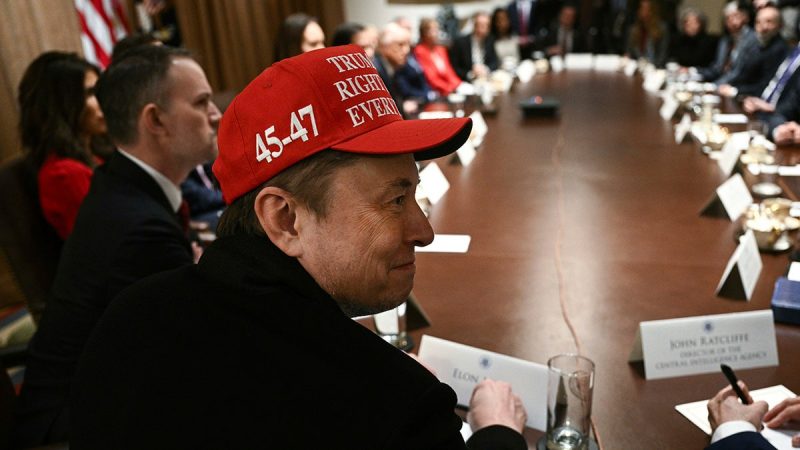 White House discloses who will lead DOGE efforts after Musk’s departure