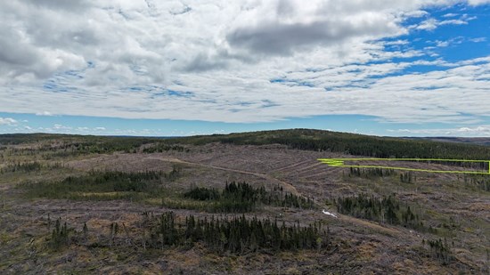 Anteros Discovers High-Grade Copper-Gold-Silver in Untested Target Area at its Havens Steady VMS Property, Newfoundland