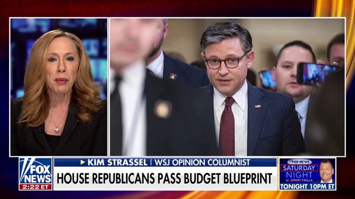 Johnson says Republicans ‘don’t have time’ to craft new Trump plan despite Musk’s call to ‘KILL the BILL’