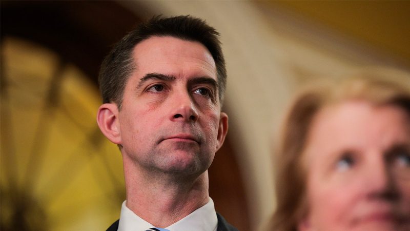 Senate Republican moves to give US an edge on China in harvesting minerals for weapons systems