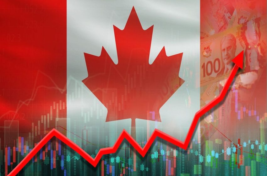 3 Best-performing Canadian Rare Earths Stocks in 2025