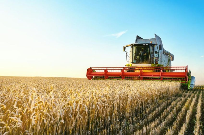 Top 10 Phosphate Countries by Production