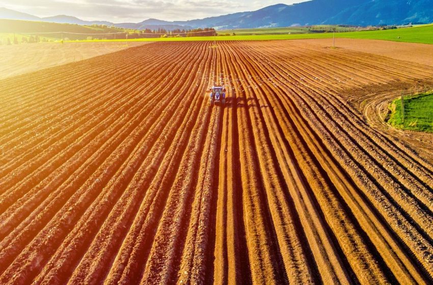 Agriculture Market Update: Q2 2025 in Review