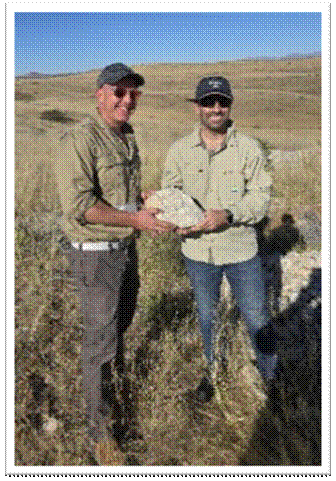 New mineralised pegmatites identified at Lithium Ridge as exploration drilling commences with SQM