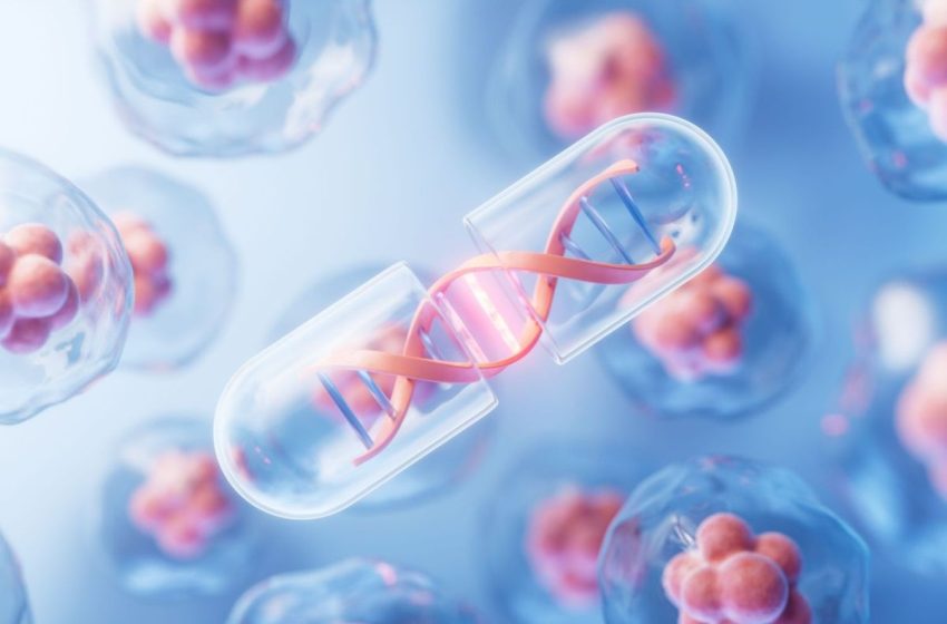 Top 4 Canadian Biotech Stocks of 2025