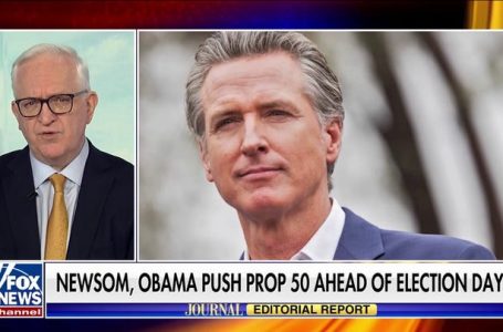 Obama was ‘not happy’ with quick Pelosi endorsement of Harris, book says
