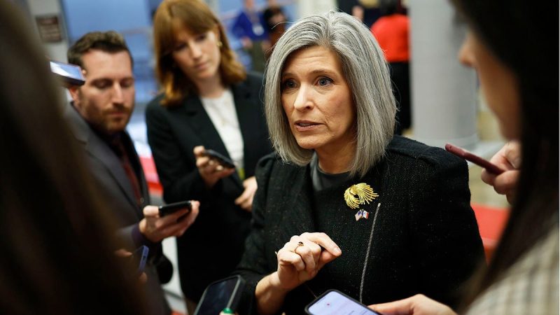 Ernst demands $2T in federal cuts, urges Trump team to ‘make DC squeal’ amid shutdown fight