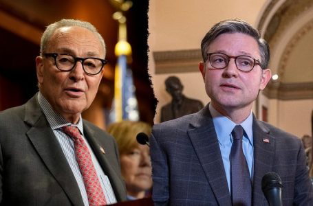Johnson shuts down House to pressure Schumer as government standstill nears one month