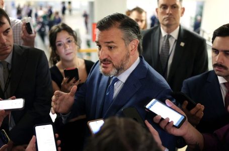 Cruz ‘cannot support’ Trump’s Kuwait ambassador pick over Muslim Brotherhood remarks