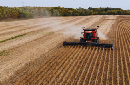Once a trade war weapon, US soybeans return to China’s shopping list