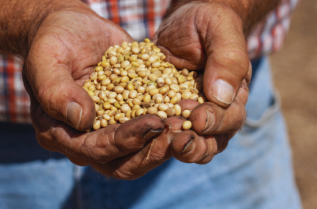 America’s quietest crop is set to take center stage in Trump-Xi talks