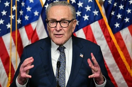 Senate returns to work as government shutdown nears longest in US history over Obamacare fight