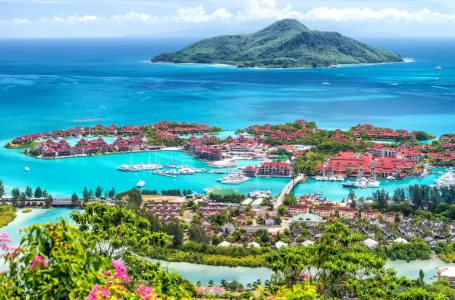 Elev8 Secures Seychelles Brokerage Licence