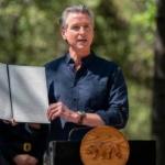 California Utility Stocks Plummet After Wildfire Legislation Announced