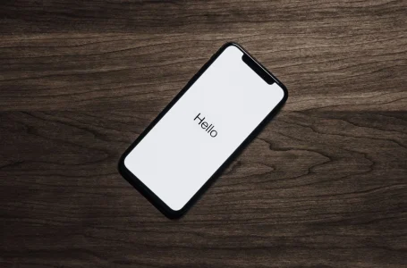 Klarna KLAR stock prediction: $25 bull vs $12 bear