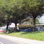Broadcom (AVGO) Stock Prediction: $715 Bull Case, $216 Bear…